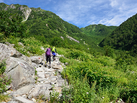 登山道の整備のイメージ