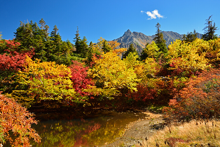 紅葉の鏡平