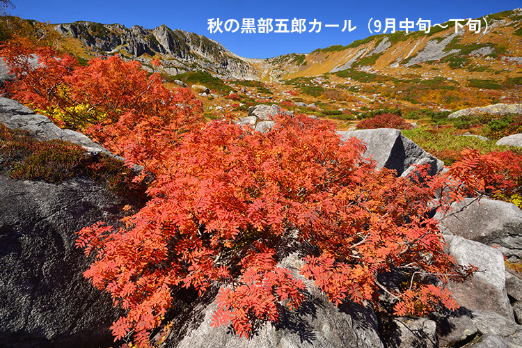 秋の黒部五郎岳カール