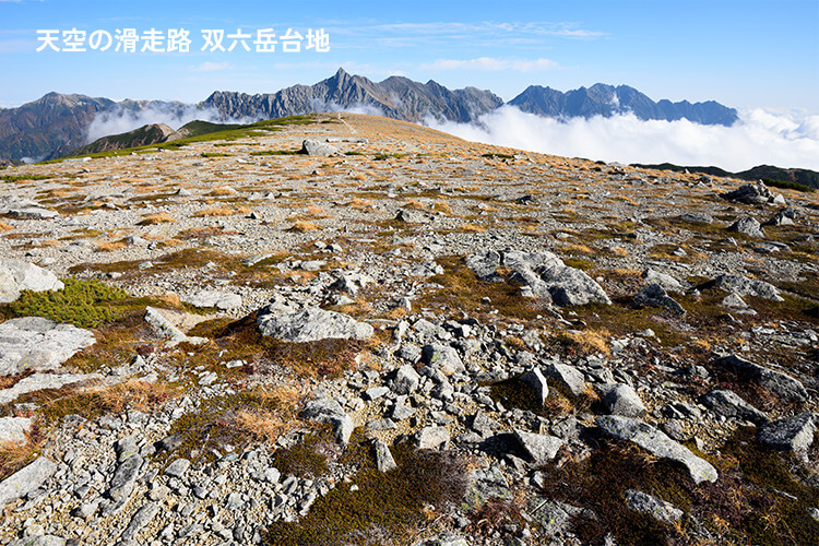 秋の双六岳台地