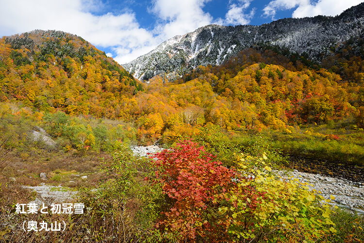 わさび平からの紅葉の奥丸山